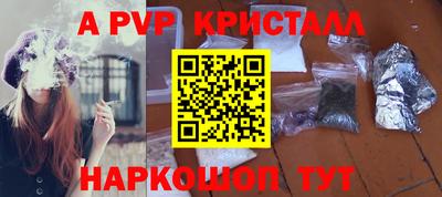 прущие грибы Ирбит