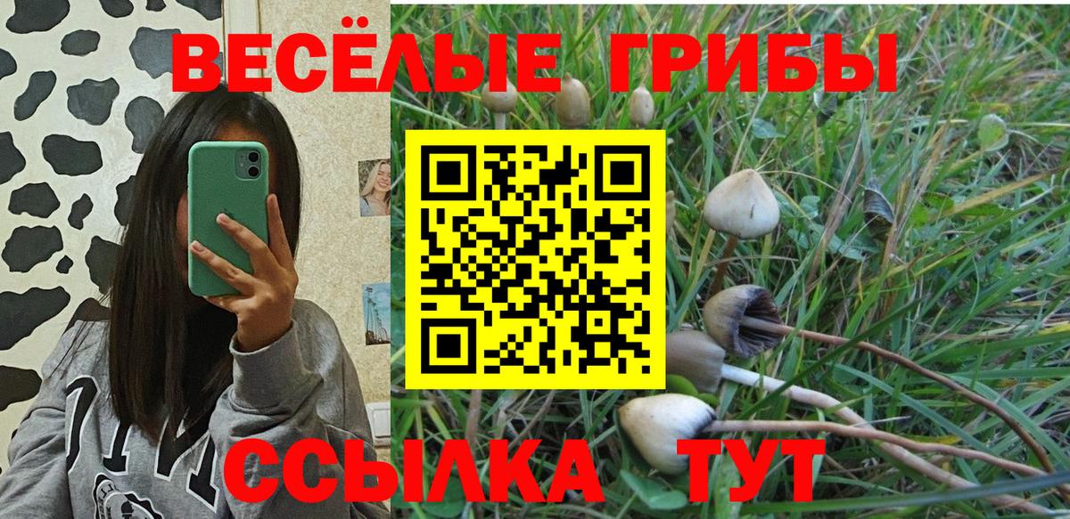 Лесозаводск  Псилоцибиновые грибы ЛСД  Вход с VPN 